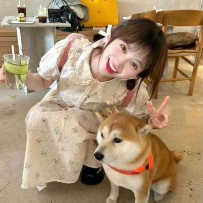爱恋安迪·哈迪